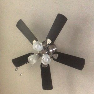 Meet your Posher, Bernie